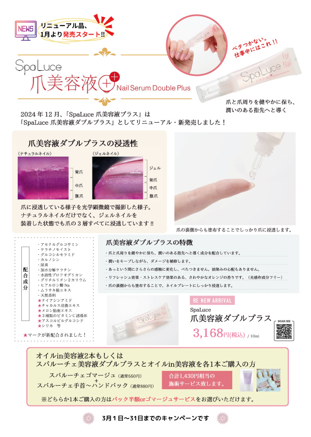 キャンペーン2