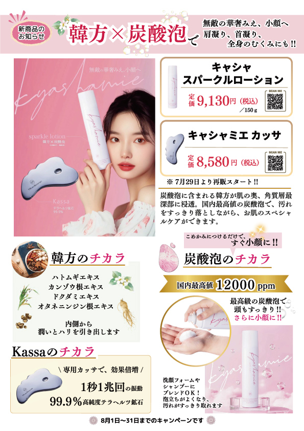 キャンペーン2