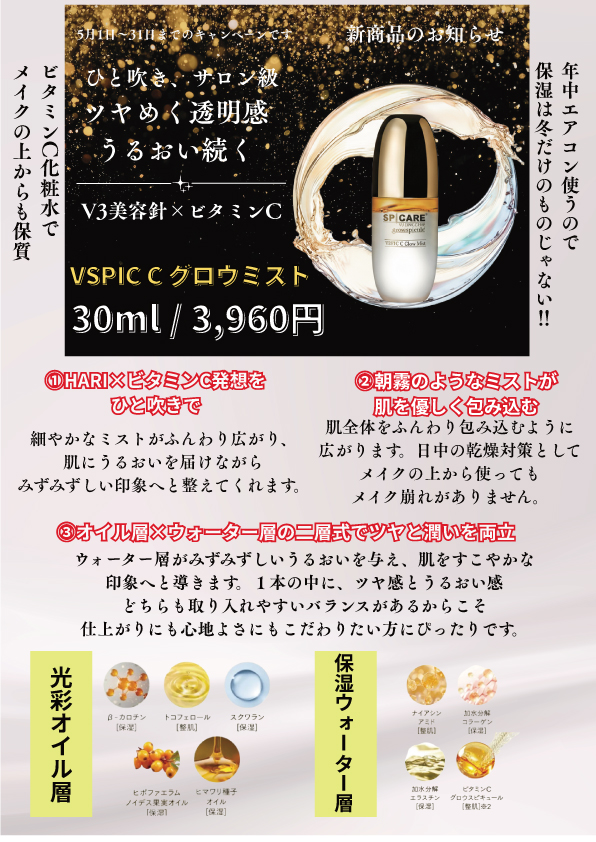 キャンペーン2