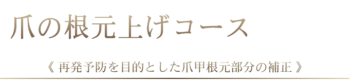 ネイルリストア始めました